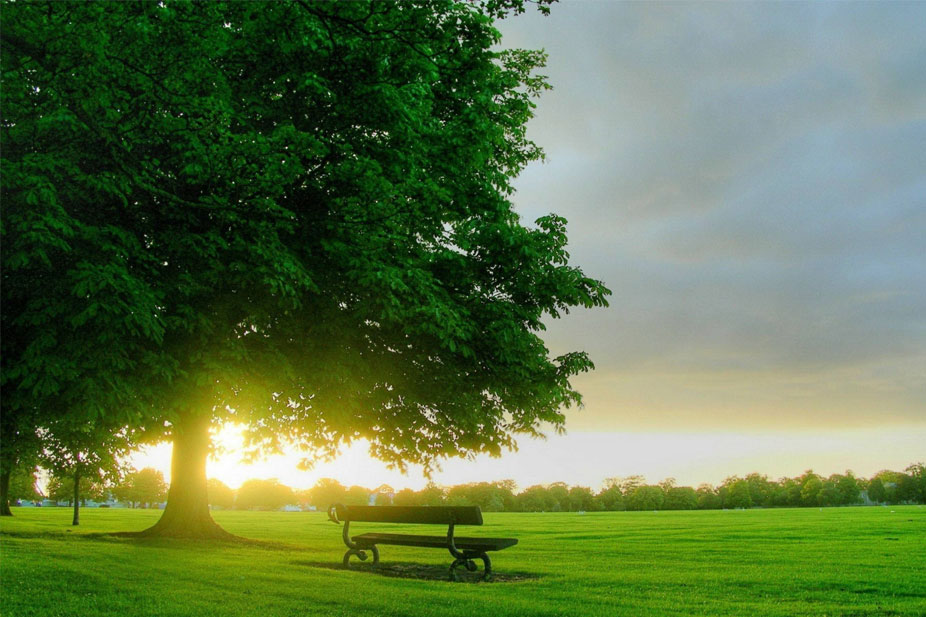 groen-veld-web